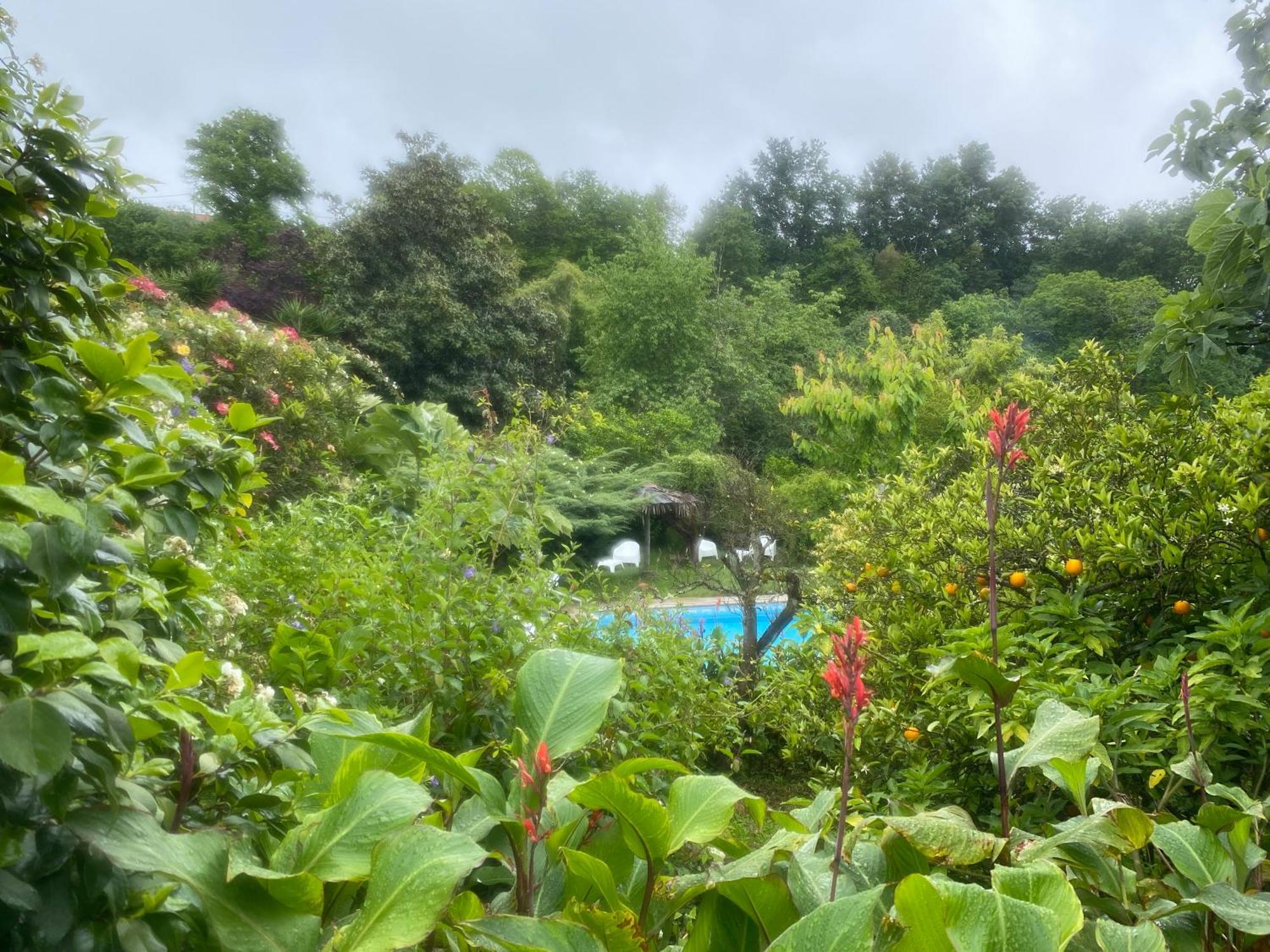 Quinta De Ribas Villa Амаранте Екстериор снимка